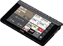CASIO EX-word RISE XDR-S1GY