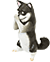 YELL  Oq Č()