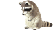 YELL ���������� �Č�