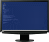 EIZO FlexScan S2411W