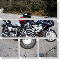 2005年3月9日 春だ飛び出そう