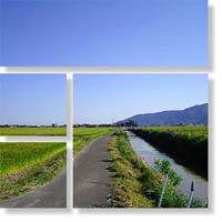 2005年5月13日 養老のとある一角