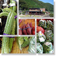 2006年9月9日 お土産は産地野菜