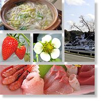 2008年3月3日 今年も食道楽の予感